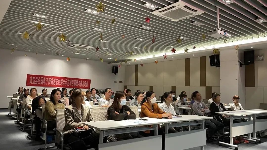 电子商务进村示范工程,武宣电商进农村