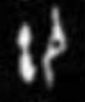 大盂鼎铭文的史料价值,大盂鼎铭文长卷全集