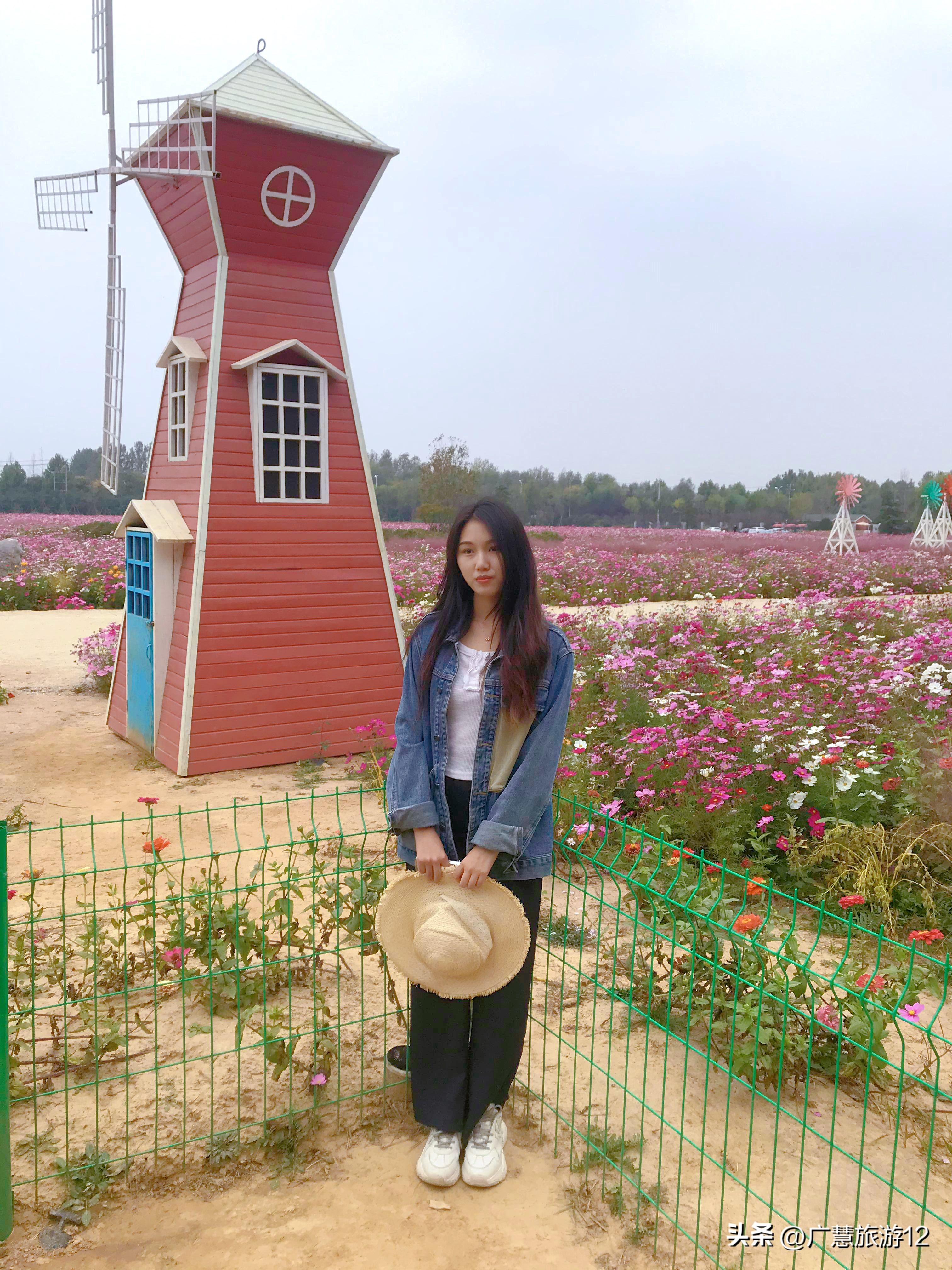 日照直播,日照金山