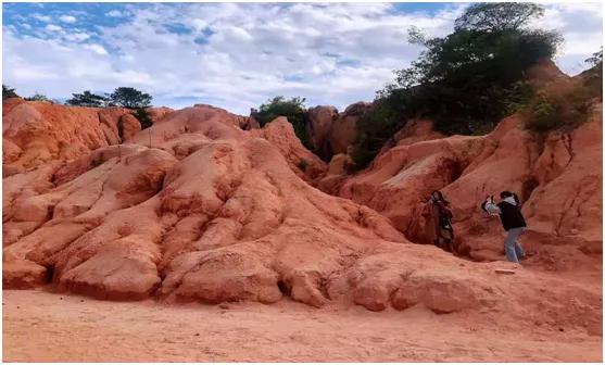 狮岭网红打卡白天,狮岭镇网红打卡地景点