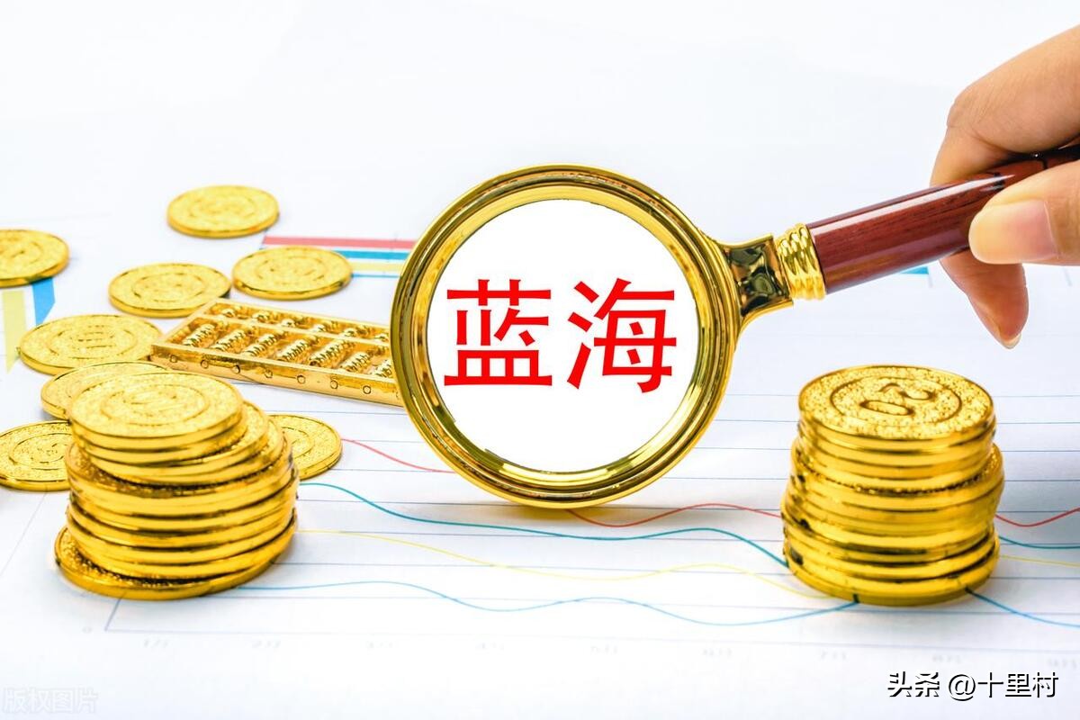 蓝海市场怎么样赚钱,在蓝海市场怎么赚钱