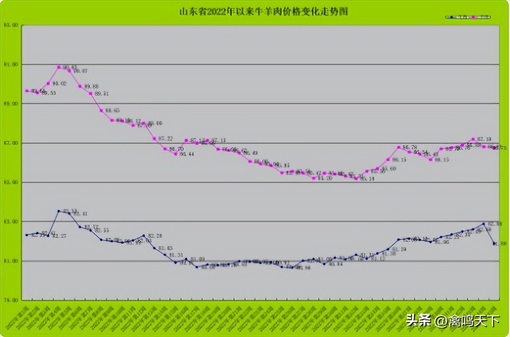 第45周山东省畜产品市场行情分析
