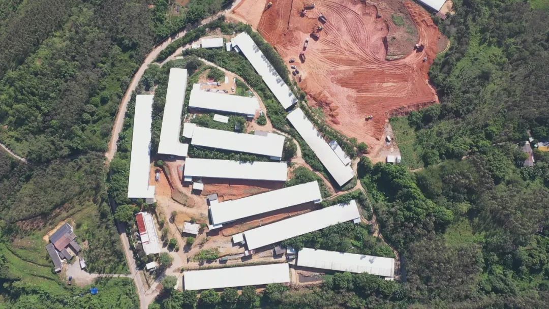 向上突围——云浮高质量发展融媒报道|新兴县村、社区将同步实现年经营收入15万元以上