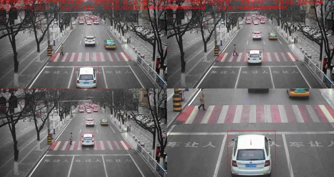 百日行动交警违法曝光,百日安全行动违规车辆