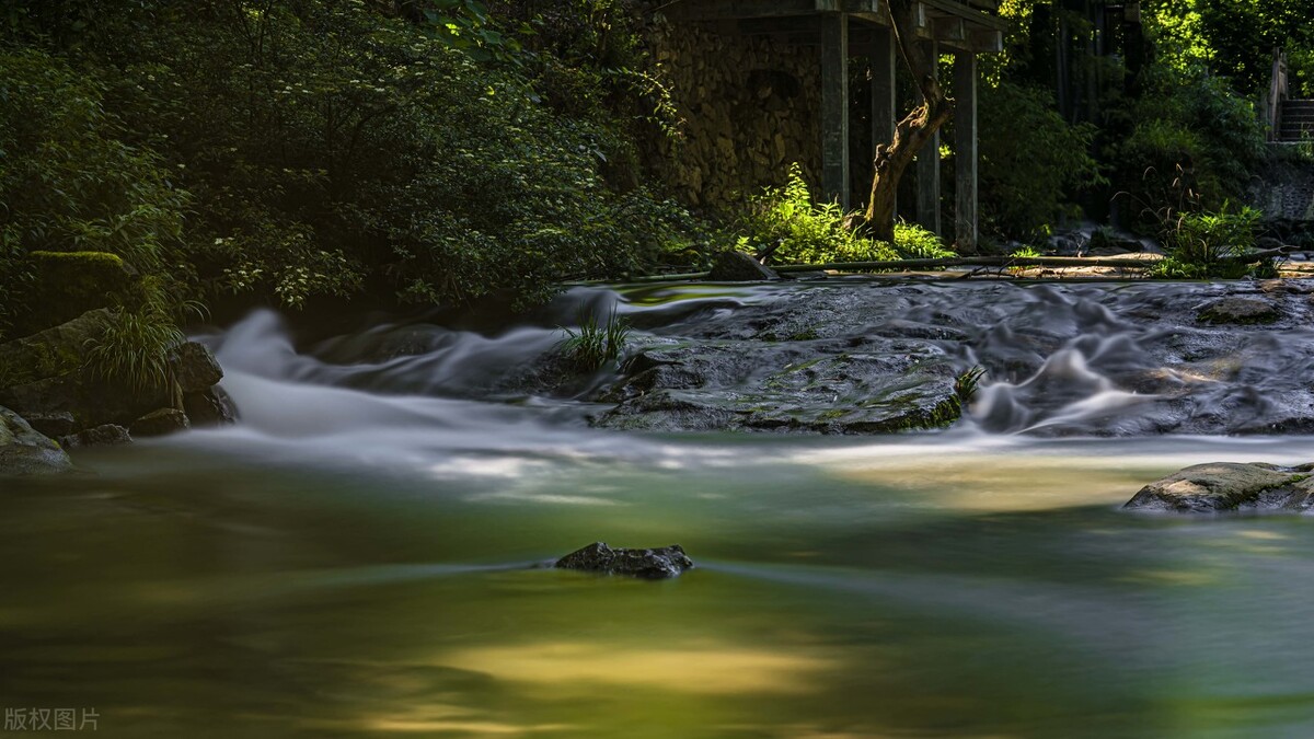 张献忠连续两次出手，就击杀了3位同学，初次展示“黄虎”的本性