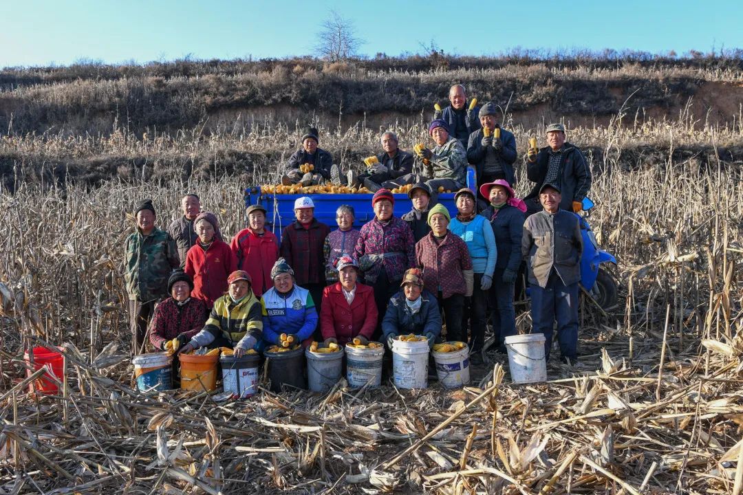 迎接党的20大美术作品,喜迎二十大乡村摄影展
