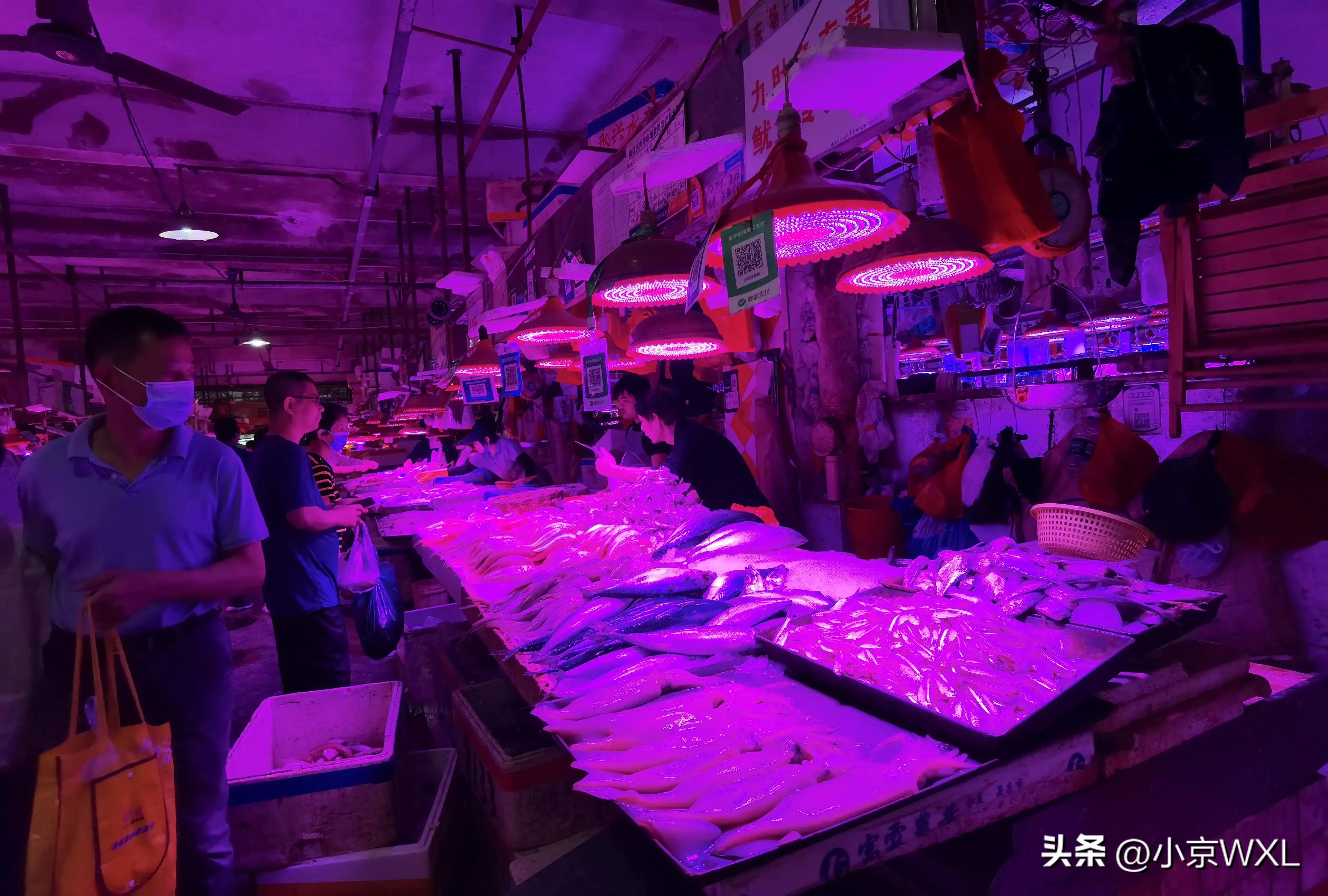 沙园市场在哪里,沙园市场最新动态