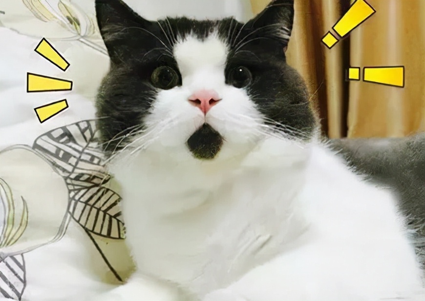 大学在澡堂的生活感受,在大学洗澡需要注意什么