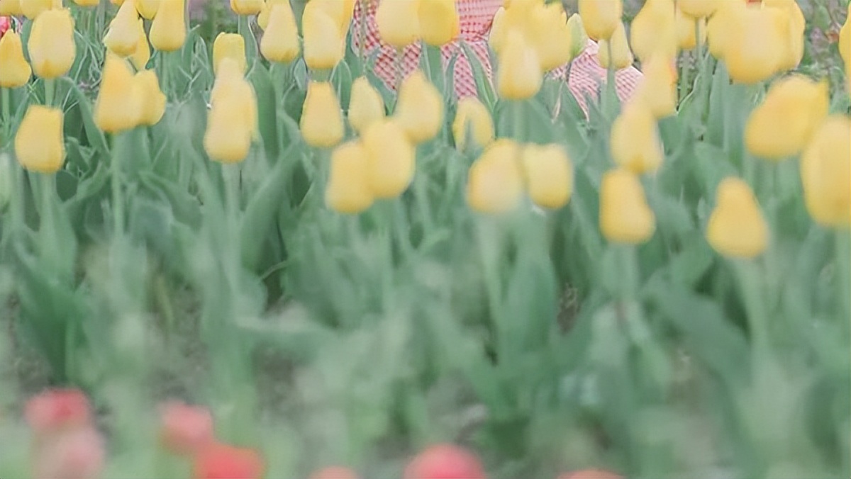 当别人不回你消息时你该怎么办,当别人不回你信息时应该怎么办