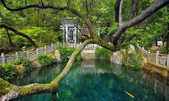 好一朵美丽的茉莉花最好听的版本,一朵美丽的茉莉花音乐节奏