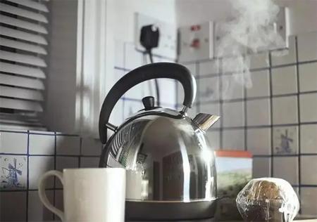 拜灭士杀蟑胶饵灭蟑螂的原理,灭蟑螂喷雾和灭蟑诱饵哪个好用