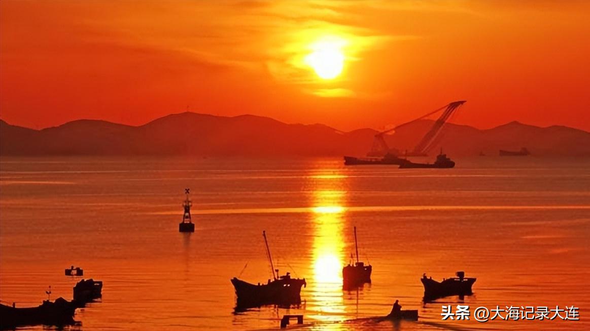 大连星海和蟹子湾荧光海哪个好看,蟹子湾公园荧光海是怎么形成的