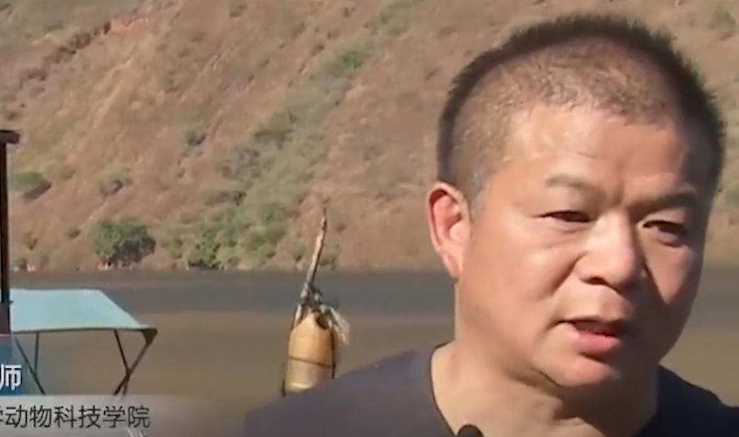 万尾鱼苗离奇失踪,鱼苗死亡鱼苗老板有责任吗