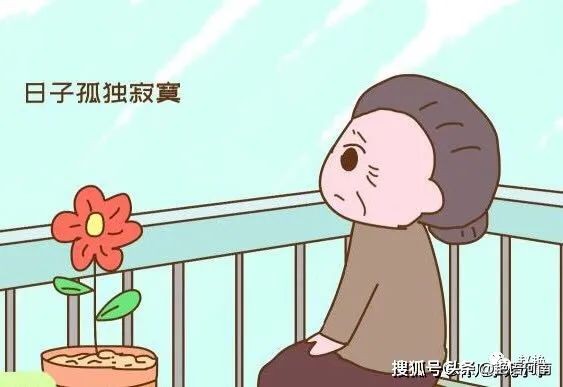 两只悠闲自在的乌龟,两只互动性很强的小乌龟