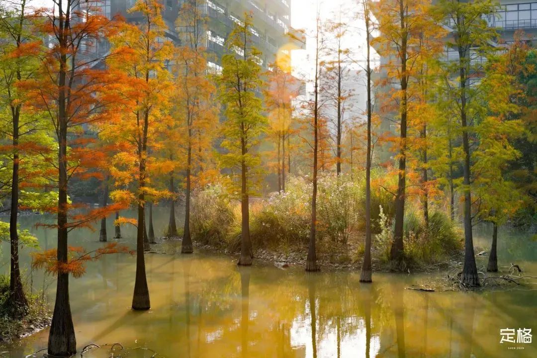 深圳最值得去的十个地方,深圳吃货必去的地方