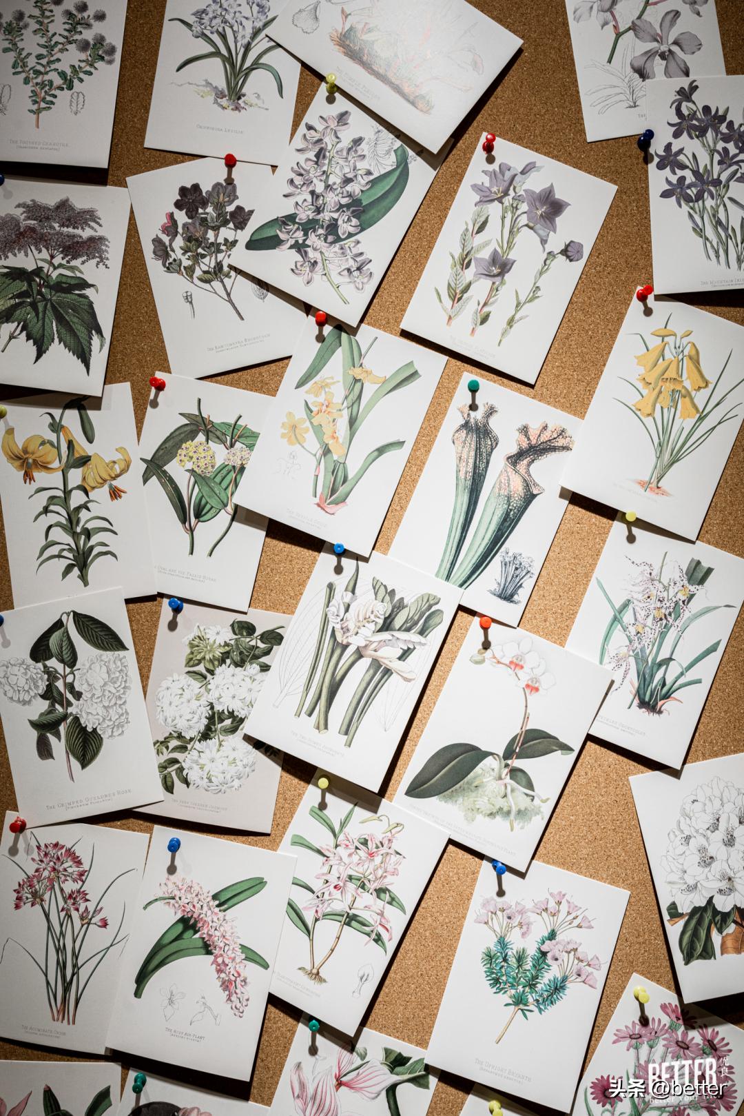 我在这家化石手作店，体验了一把「赌石」的快乐