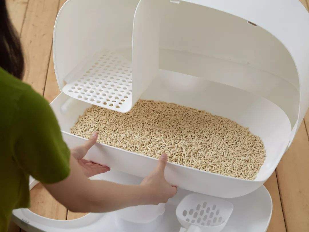 5种“香水猫”，身上自带体香，一只比一只香，多养几只香满屋