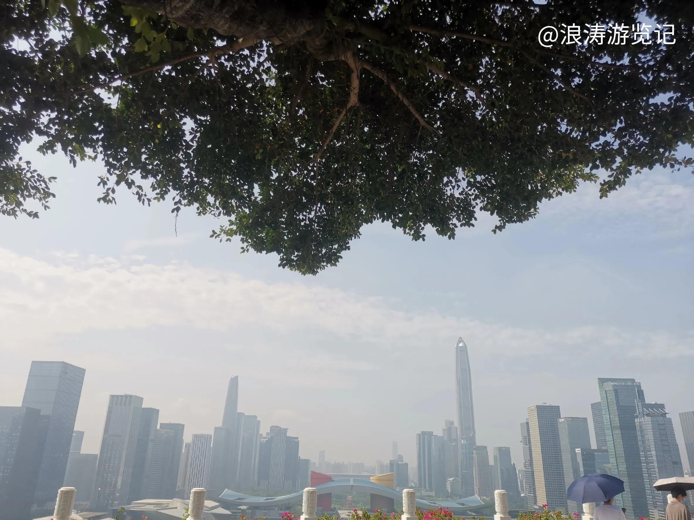 深圳市莲花山公园地图,深圳莲花山旅游风景区图片