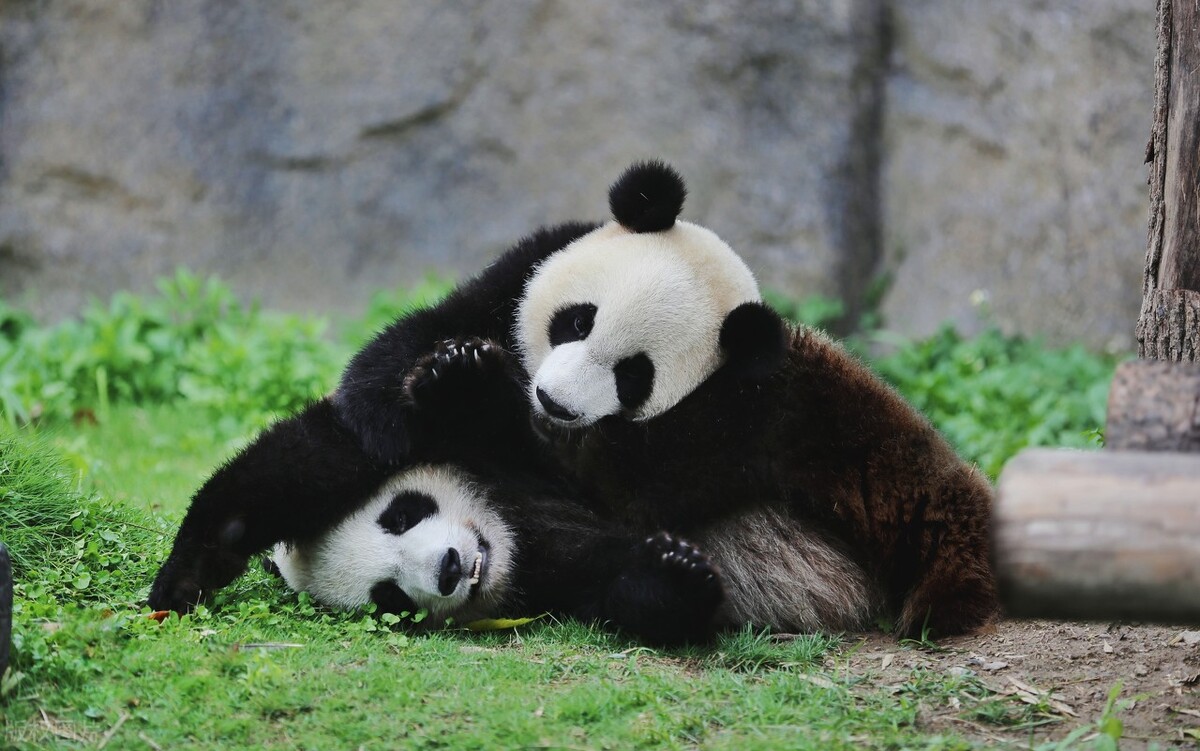 上海十大最好玩的景点,上海十大必去红色景点