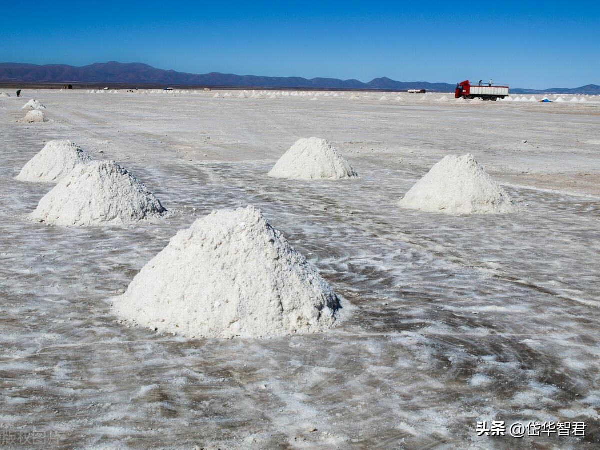 藏格锂业与藏格矿业,藏格矿业深度分析