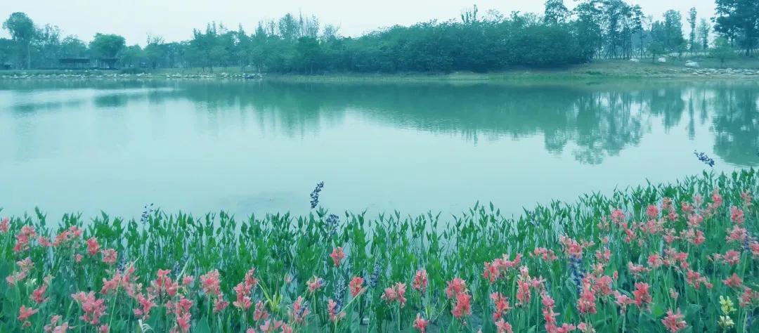 全环贯通一周！看看成都人的周“迹”