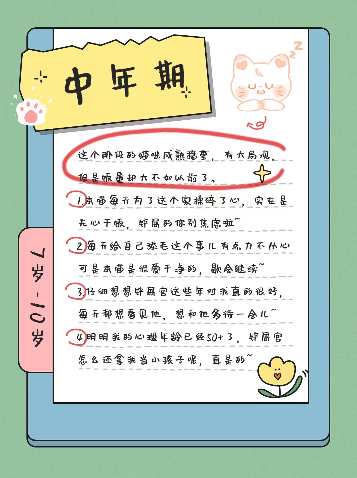 猫的一生详细讲解,猫的一生在想什么