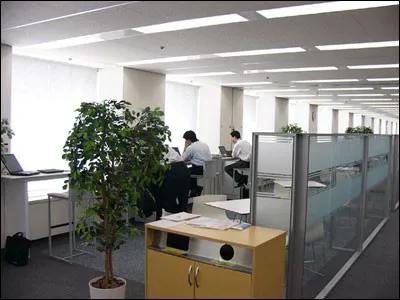 我，IBM员工，为娶日本妻，18年大连*款贷**买海景别墅，现后悔莫及