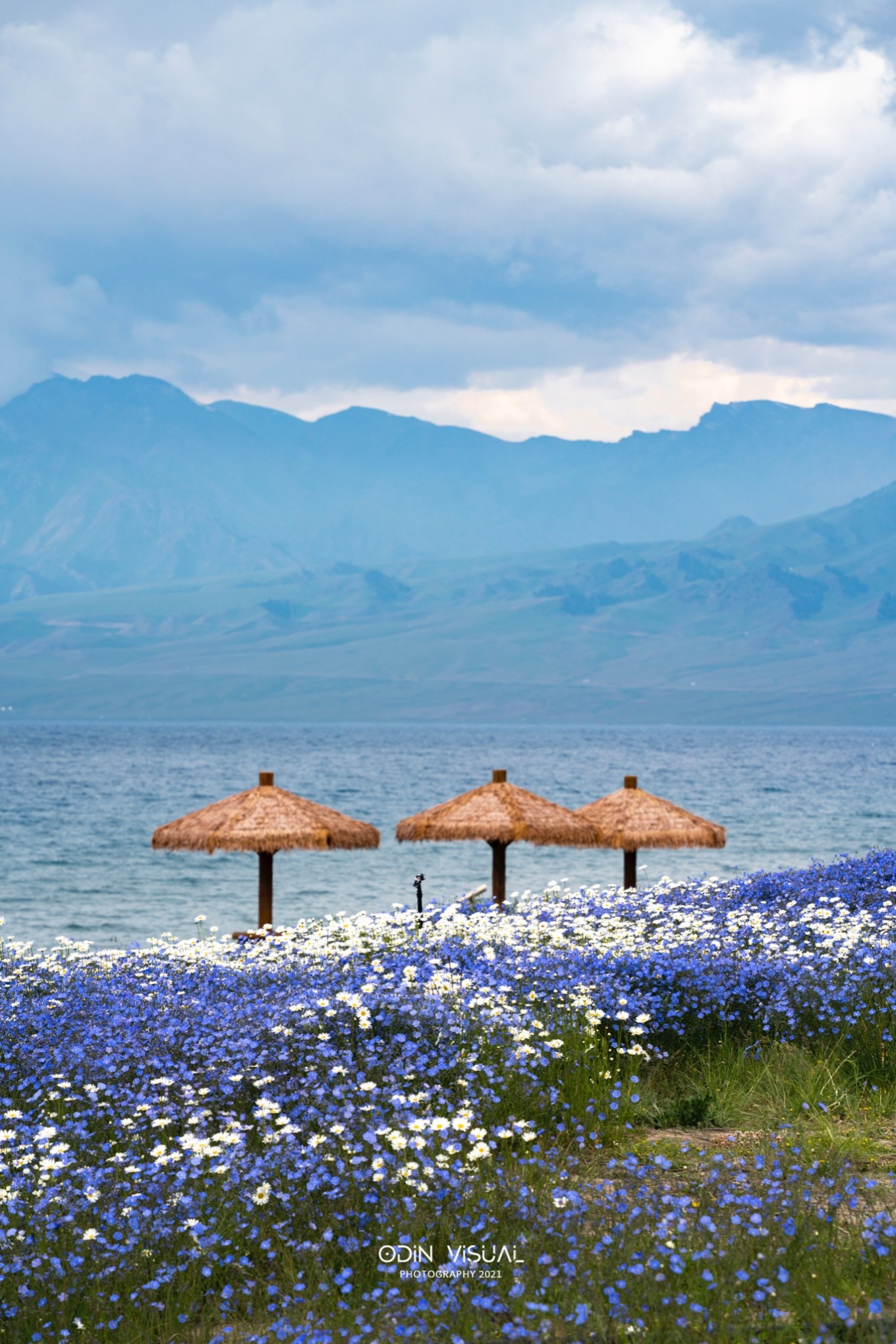 新疆伊犁之美,走了一圈才发现世界万物远不及你