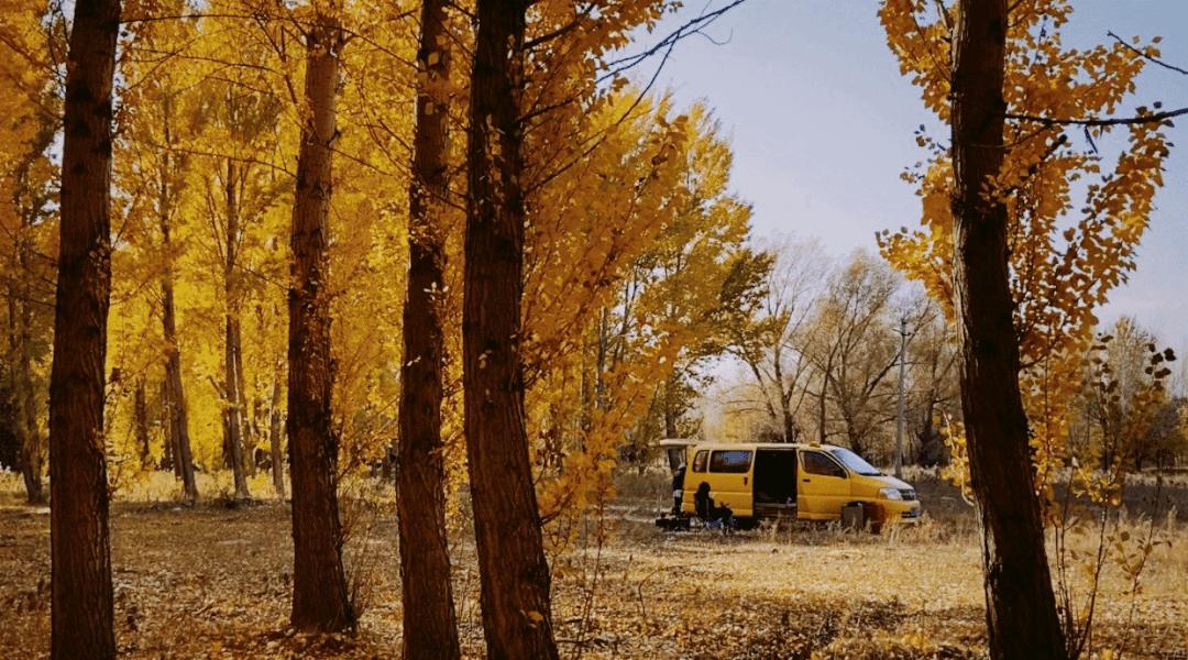 我在房车上隔离21天，拥抱了一小段上海的春天