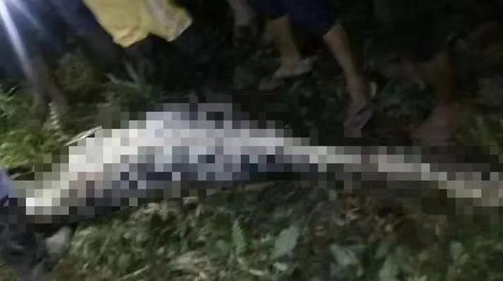 7米长！印尼54岁女子被巨蟒活吞，人心惶惶：还剩条8.2米蟒蛇游荡