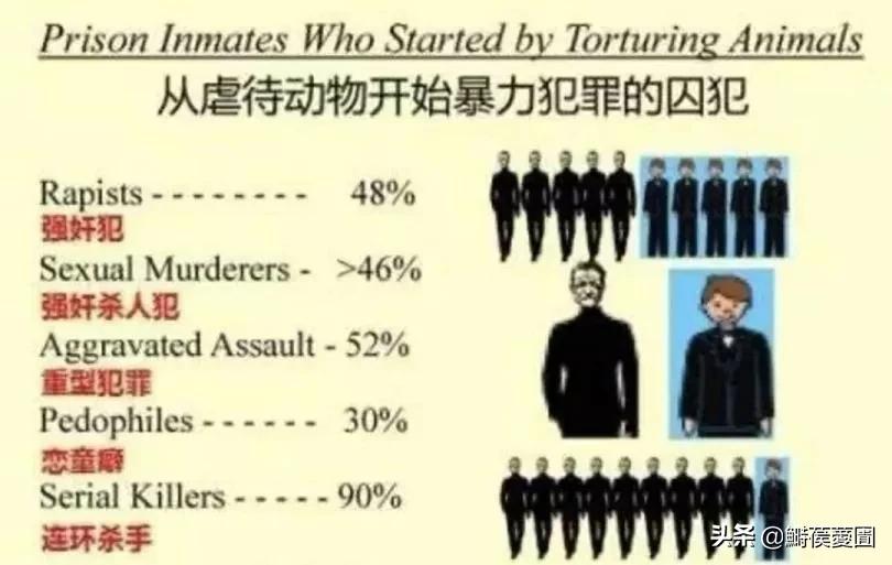 当家主母为什么杀害幺娘,母猫杀小猫事件