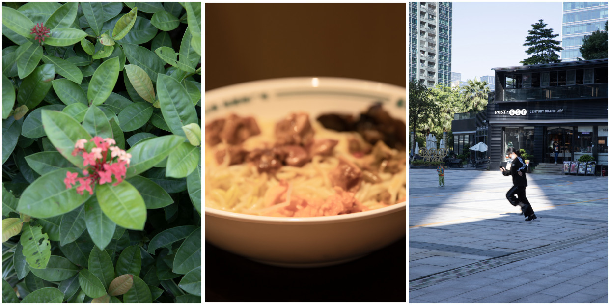 相机拍照对焦模糊怎么解决,相机对焦快照片是不是不容易模糊