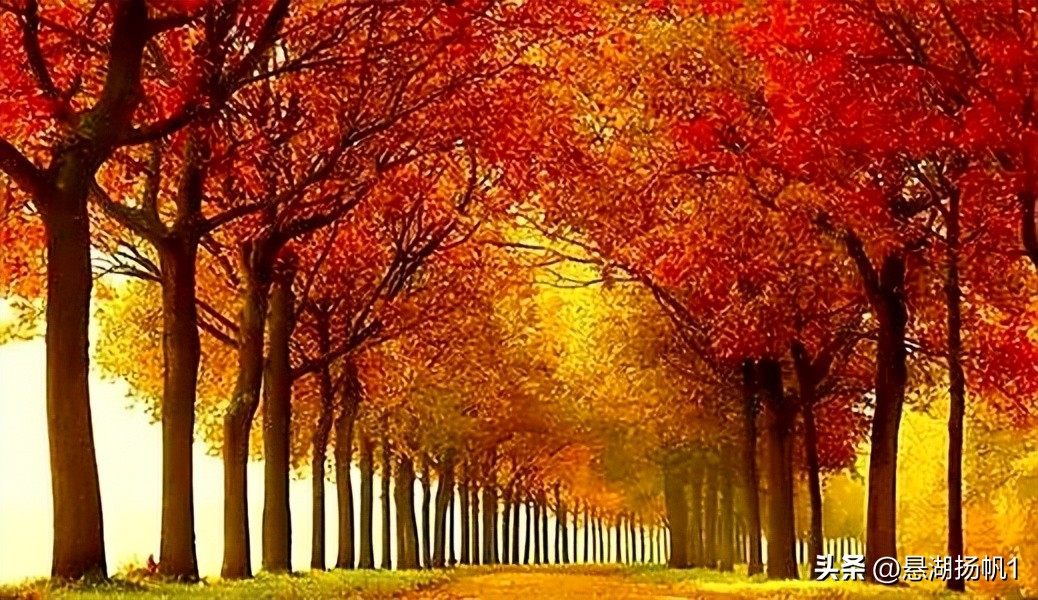 学习强国每天每月几点更新,学习强国最新题速记版