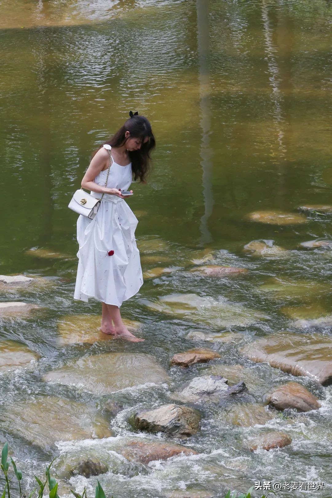 打卡公园东莞游玩攻略,东莞森林公园攻略