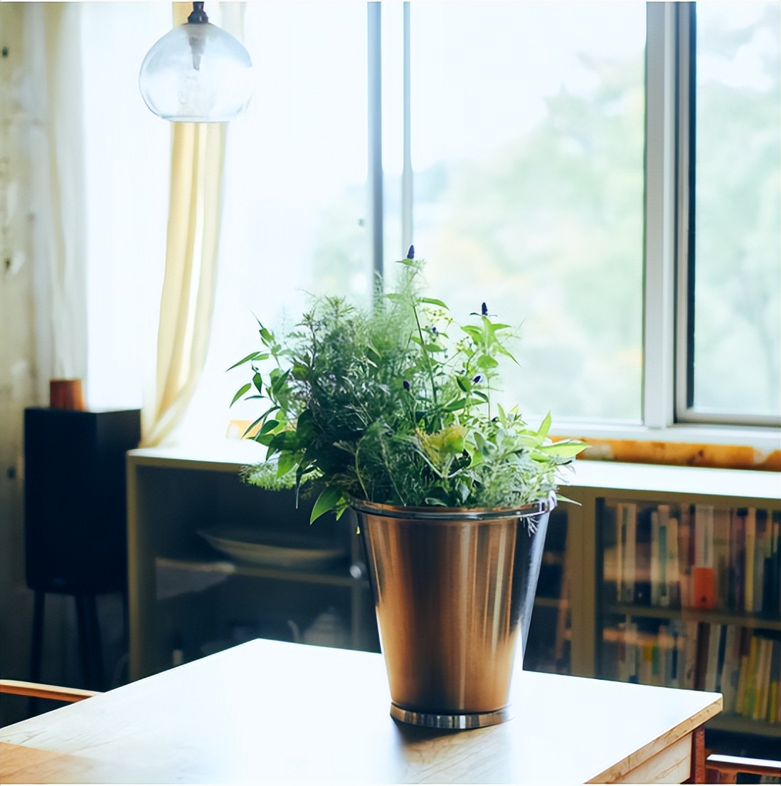 日本主妇晒减法生活：学会精简，日子也能过得精致浪漫