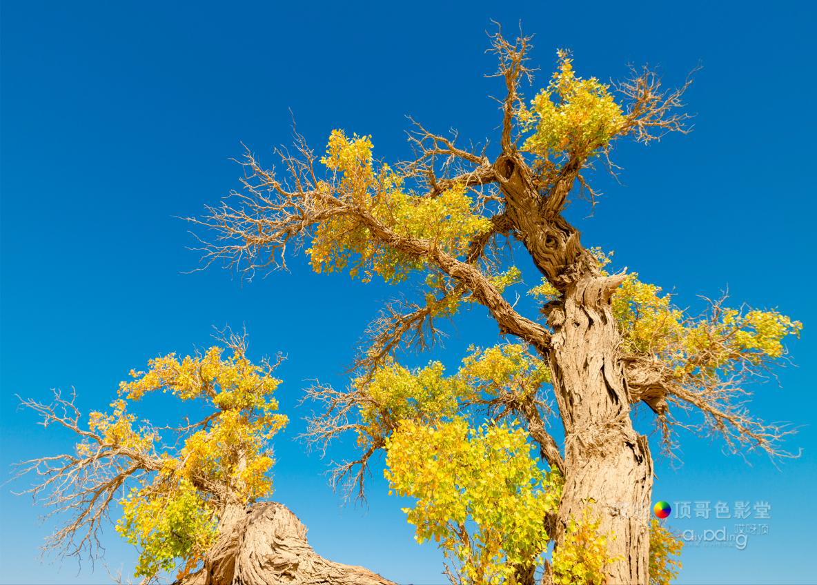 女司机带娃去新疆自驾游,带着女司机自驾游兰州
