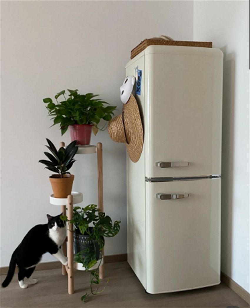 假如给我一次机会600字,假如给我一次机会即兴评述