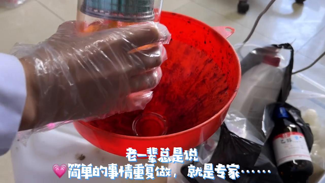 科普～快速石蜡处理全流程！没有最快，只有更快……