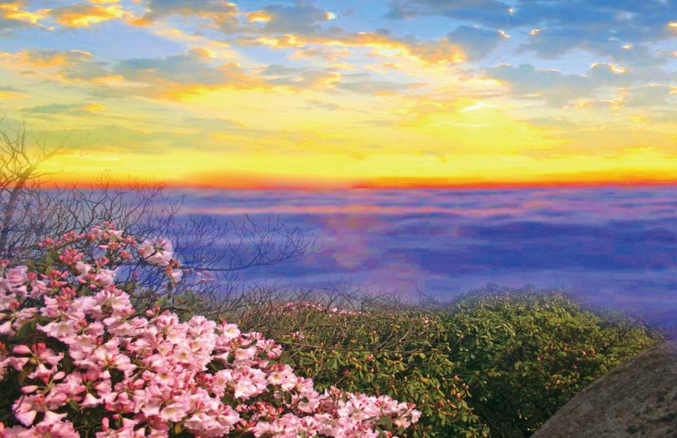 letsgo一周目攻略,letsgo图鉴攻略