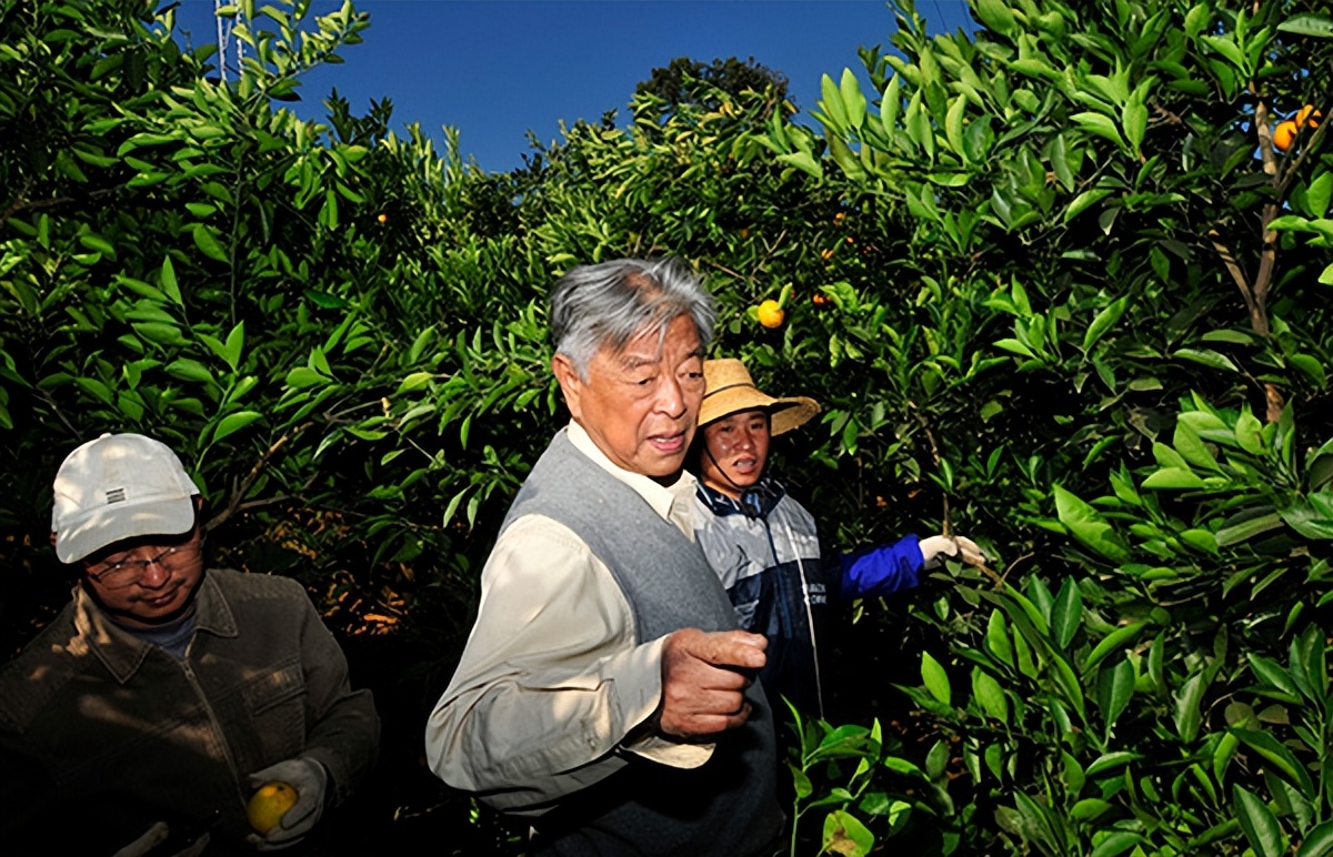 烟草大王褚时健是怎么入狱,烟王褚时健去世了吗
