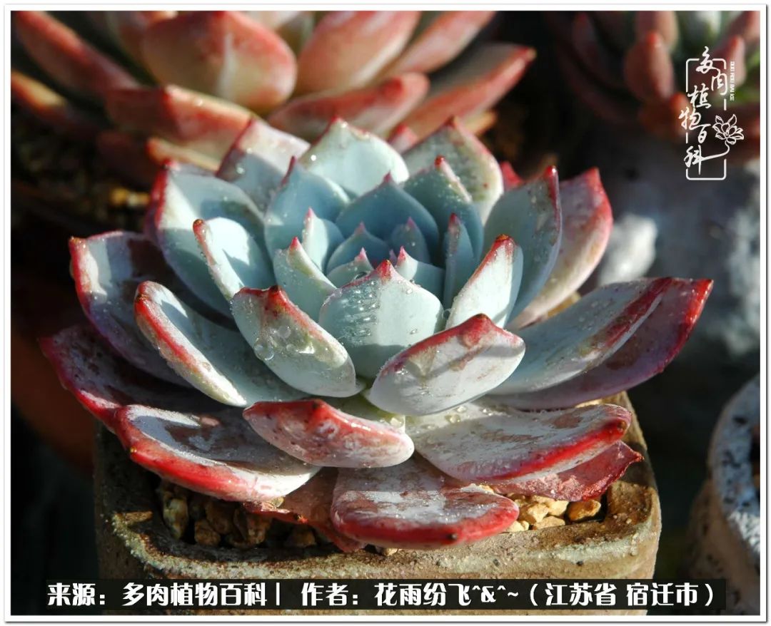 回味童年无忧无虑的快乐时光,童年最快乐的时光