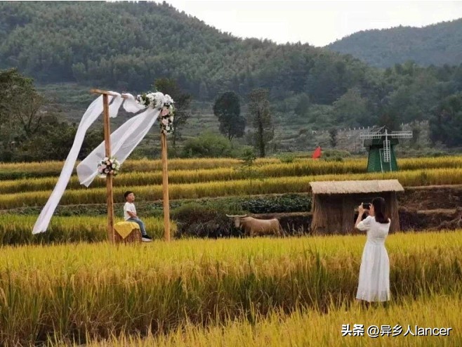 家庭农场：是否能成为乡村致富的新风口？