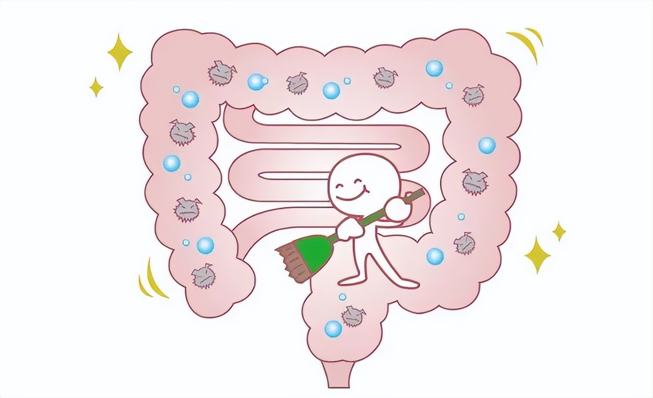 为什么男生天天有拉不完的屎，而女生却很容易便秘呢？