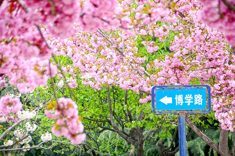 西安理工大学2021届毕业生：就业率89.6%，升学率34.7%