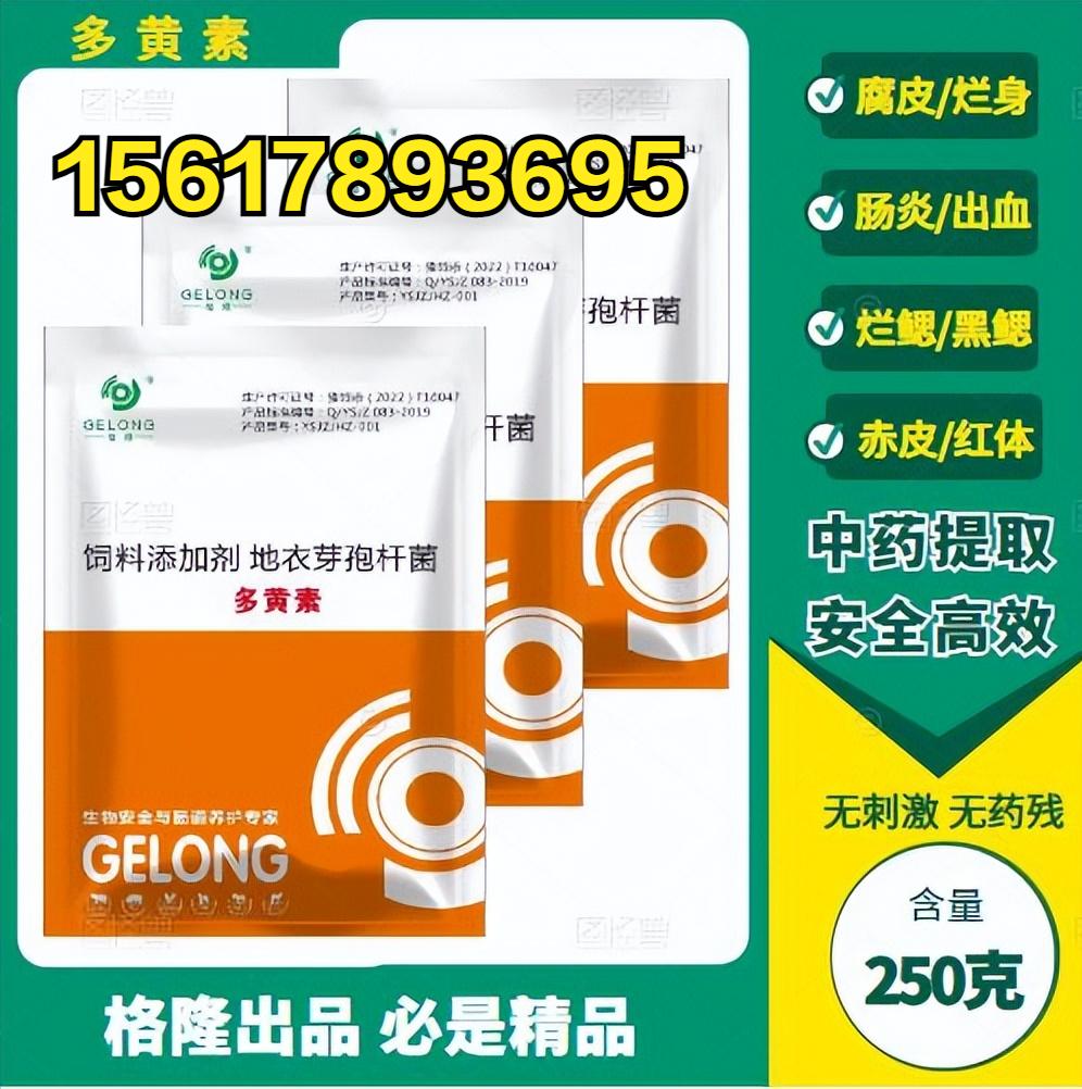 草鱼烂鳃烂身出血用什么药,草鱼烂身烂尾病用什么药治