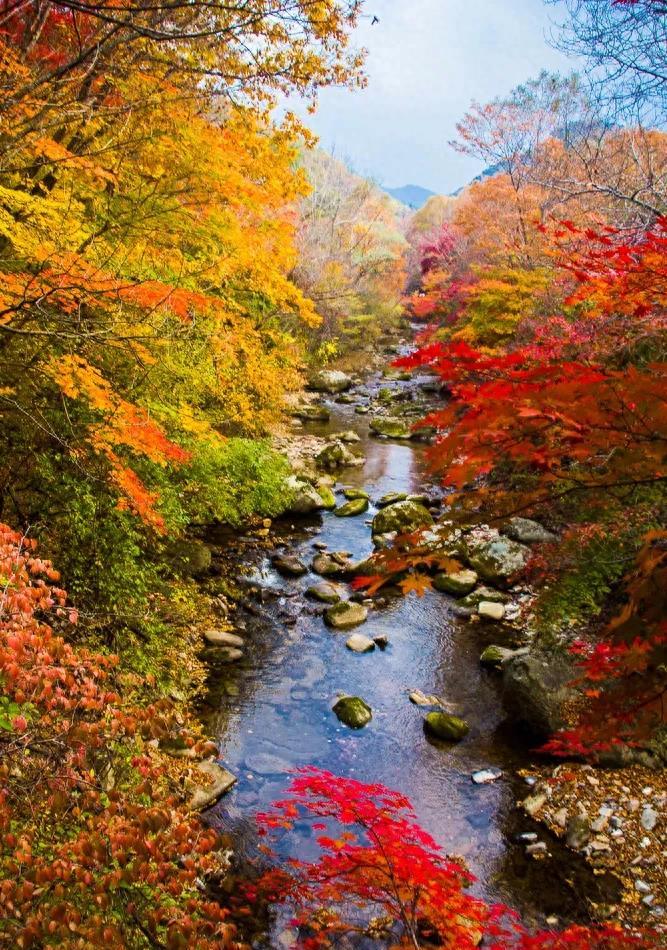 本溪市财政收入,本溪财政收入2024