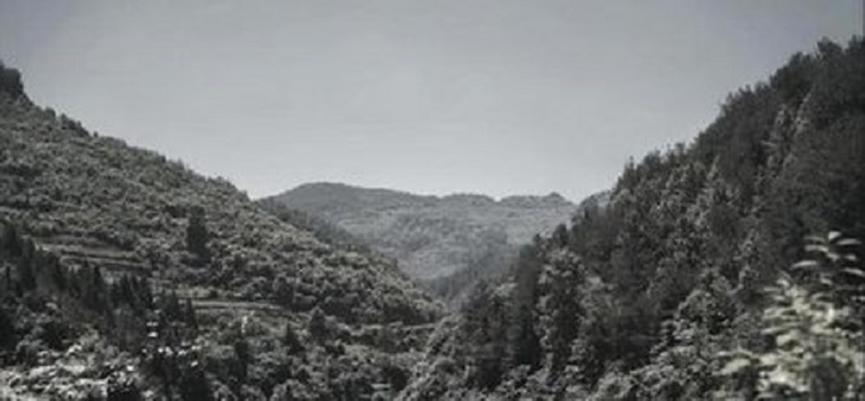 红军被逼跳崖,红军被迫撤退完整视频