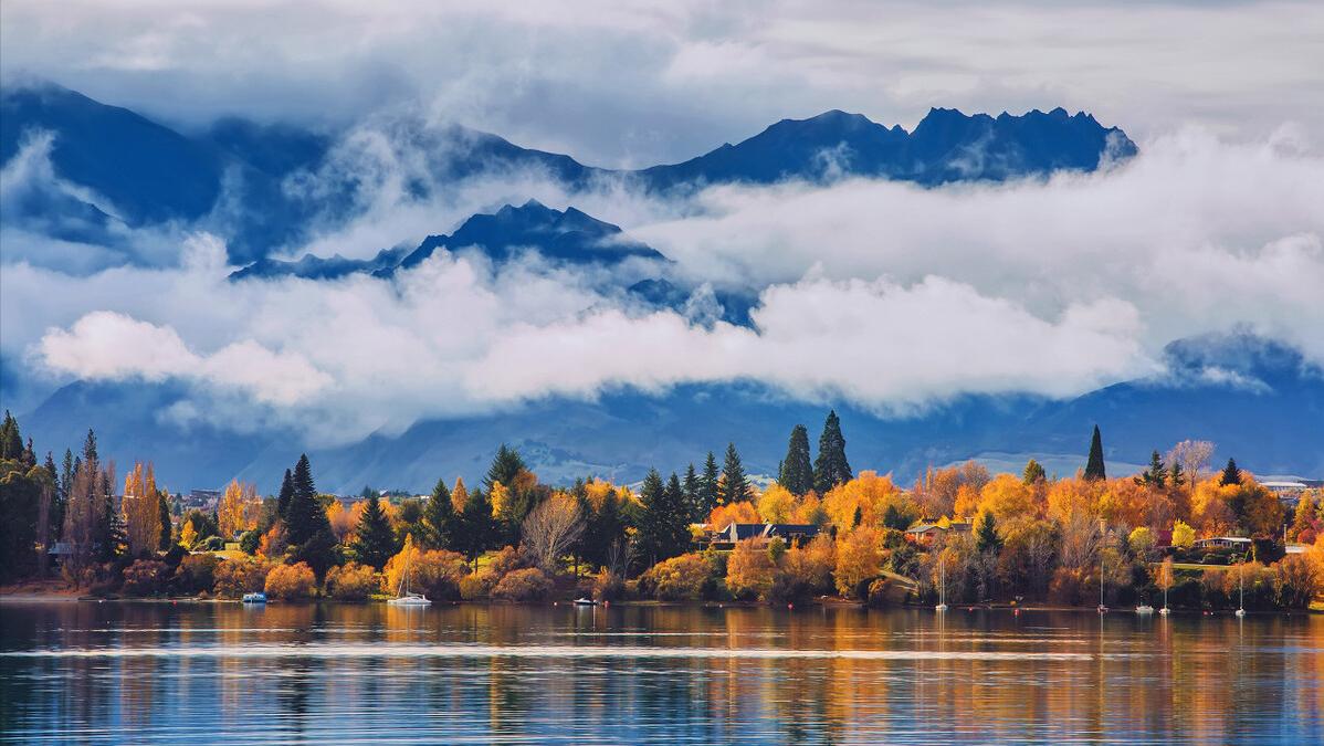 全职炒股需要什么本领,全职炒股适合做什么副业