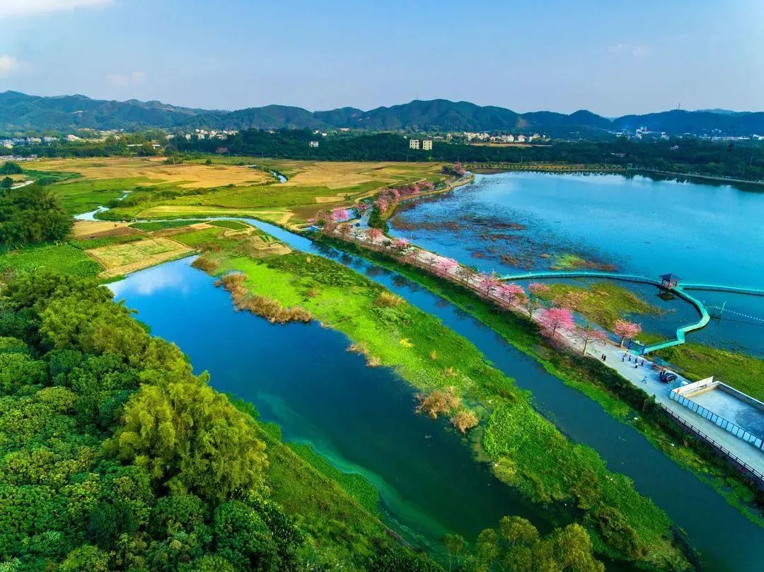 阳春有什么好玩的景点推荐,阳春有什么好玩的地方推荐