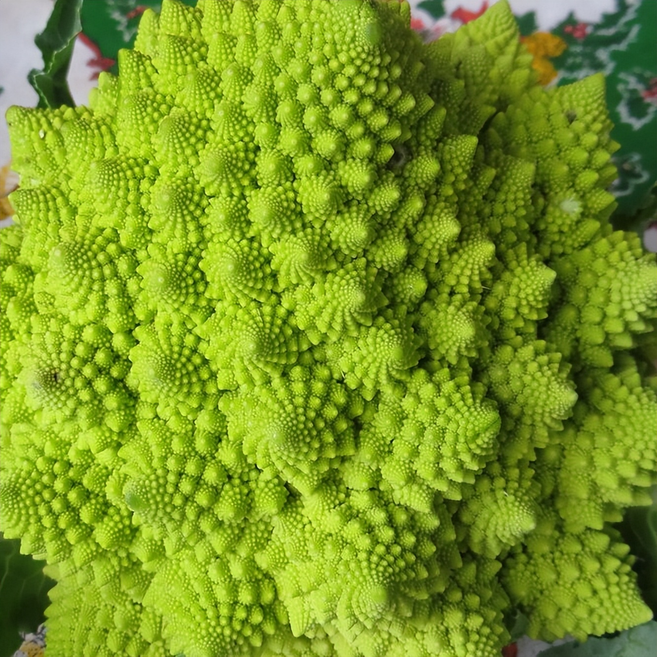 鍒嗗舰鍑犱綍鍘熺悊璁茶В,鍒嗗舰涓庡嚑浣曠殑鍘熺悊